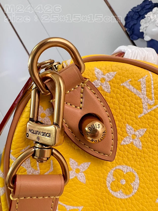 Louis Vuitton Handbags Monogram top-handle bag with detachable shoulder strap product detail image 26