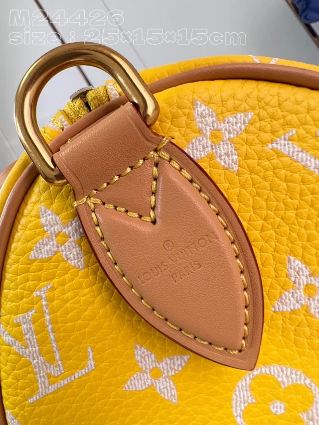 Louis Vuitton Handbags Monogram top-handle bag with detachable shoulder strap product detail image 28