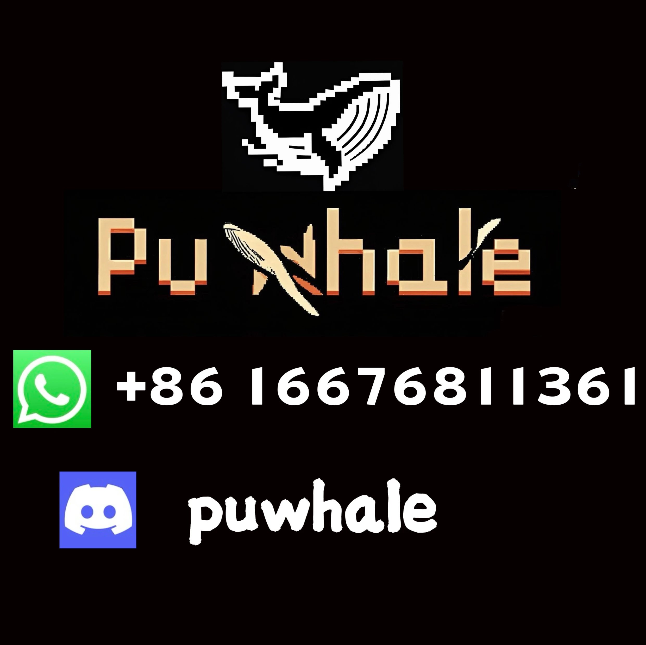 Need other styles to contact WhatsApp