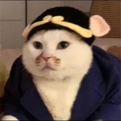 Cat Brand