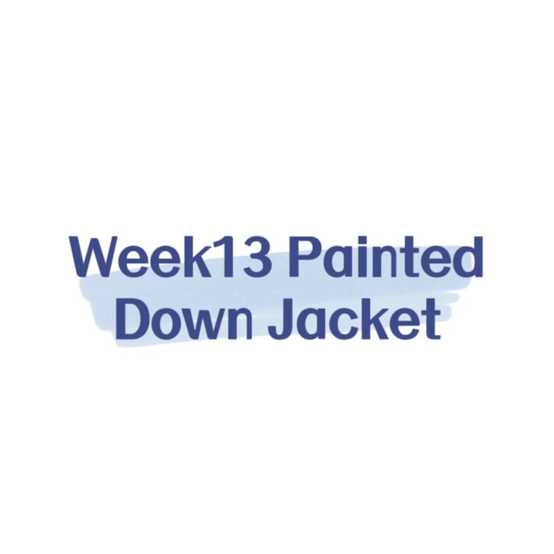 Item Thumbnail for PaintedDownJacket