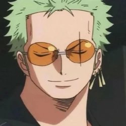 Zoro Choiceness