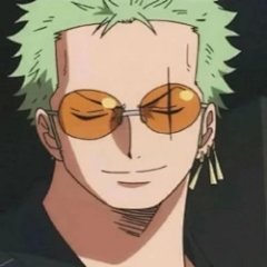 Zoro Choiceness