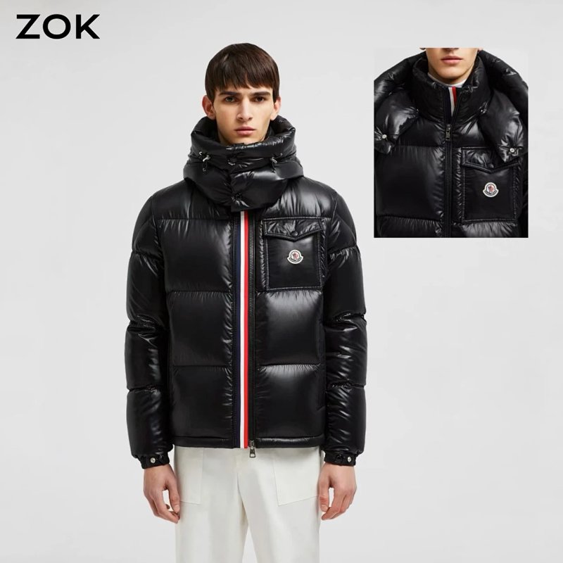 Zok K Montbeliard