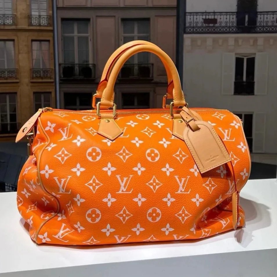 Louis Vuitton Travel Bag 7