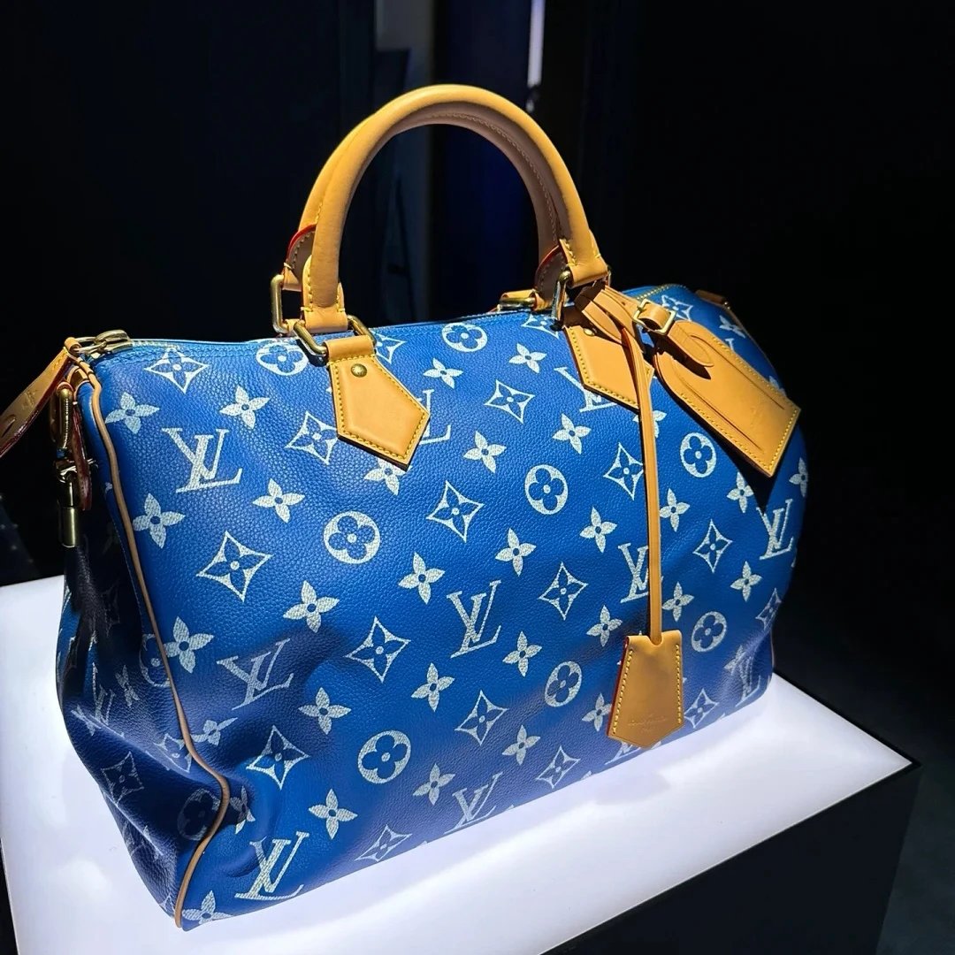 Louis Vuitton Travel Bag 4