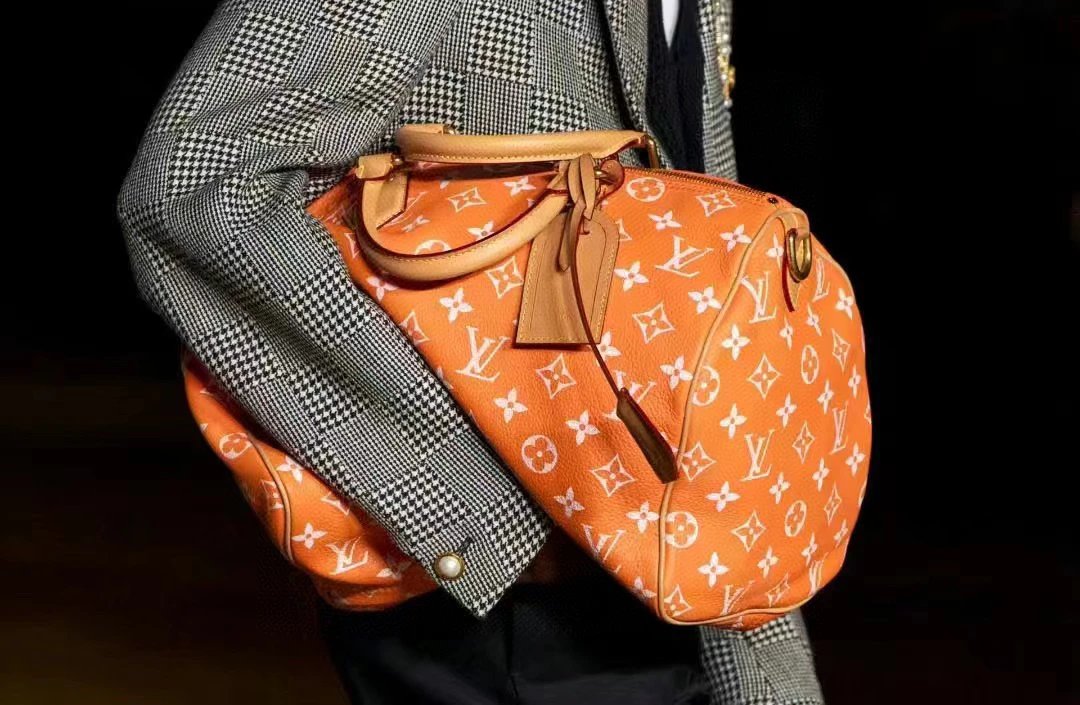 Louis Vuitton Travel Bags