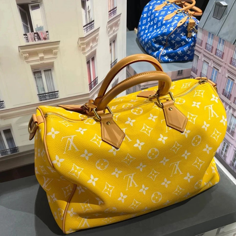 Louis Vuitton Travel Bag 3