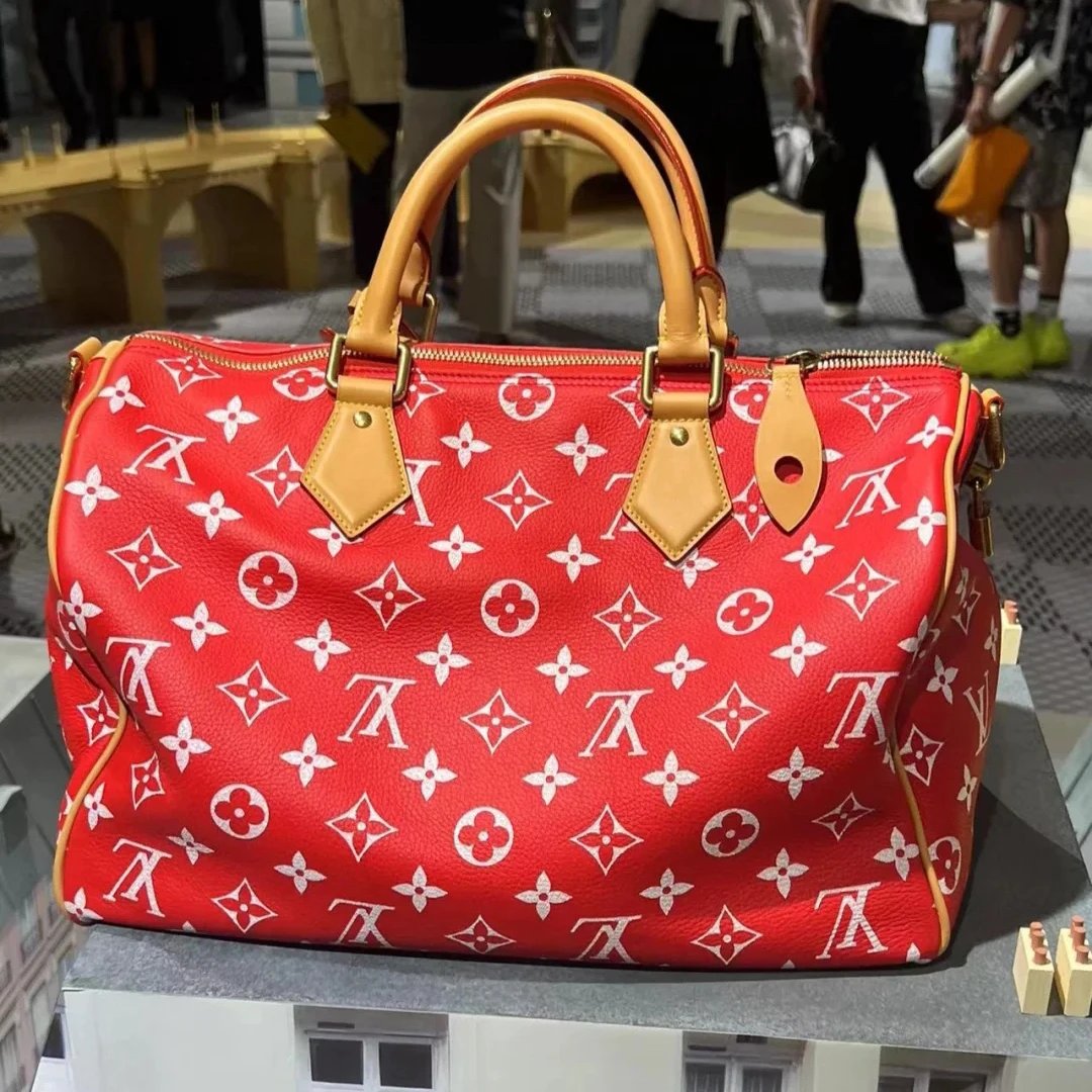 Louis Vuitton Travel Bag 5