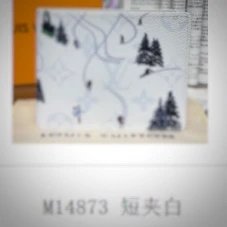 M14873