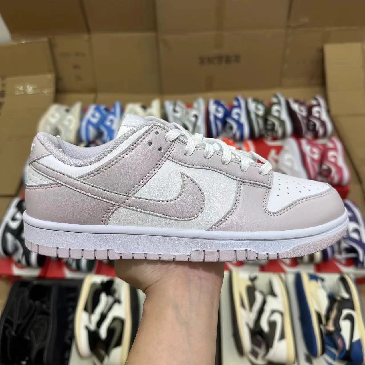 DD1503-116 White Light Purple