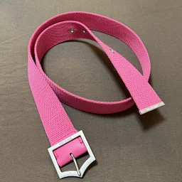 thumbnail for [Limited stock available! ] Fatale Studio 05SS classic D-Point canvas pink D-head belt Hediboy