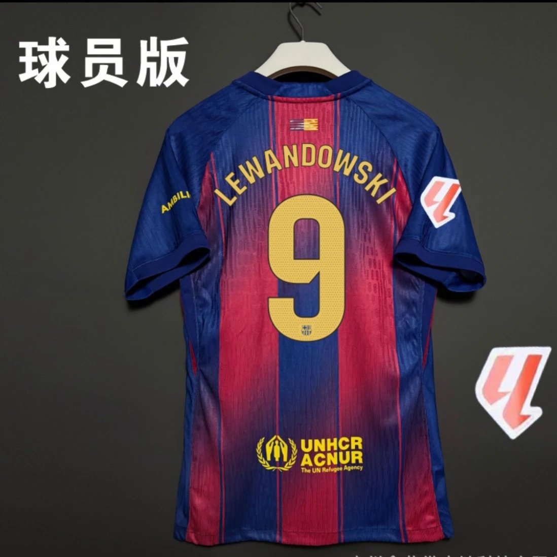 Product view 30