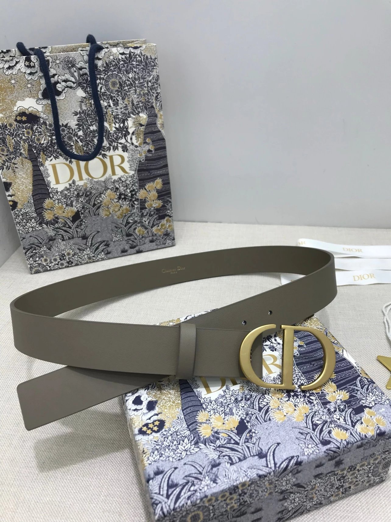 Dior CD Belt in Gray with Gold-Tone Buckle - 16
