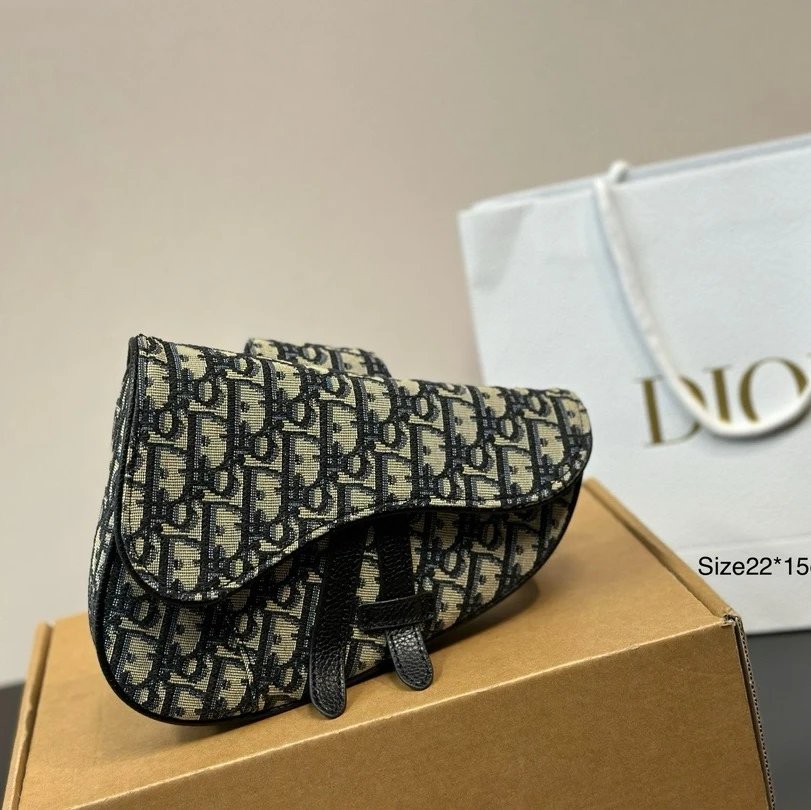 Christian Dior Saddle Bag 2