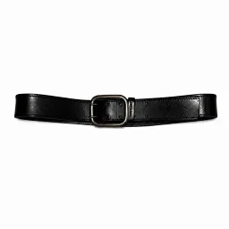 thumbnail for (In stock) Hongt Independent 06ss "The World Was a Mess But His Hair Was Perfect" Belt