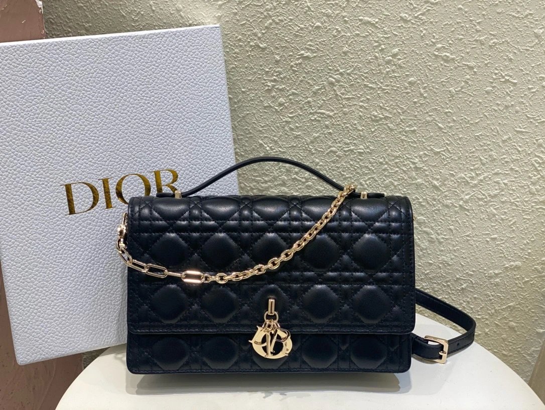 Dior Lady D-Joy Bag