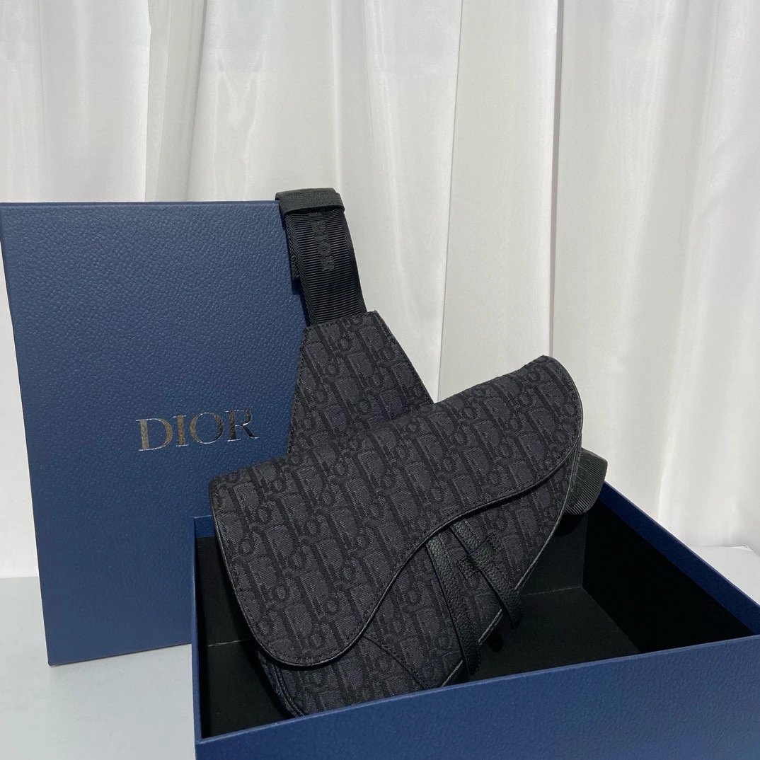 Dior Saddle Bag