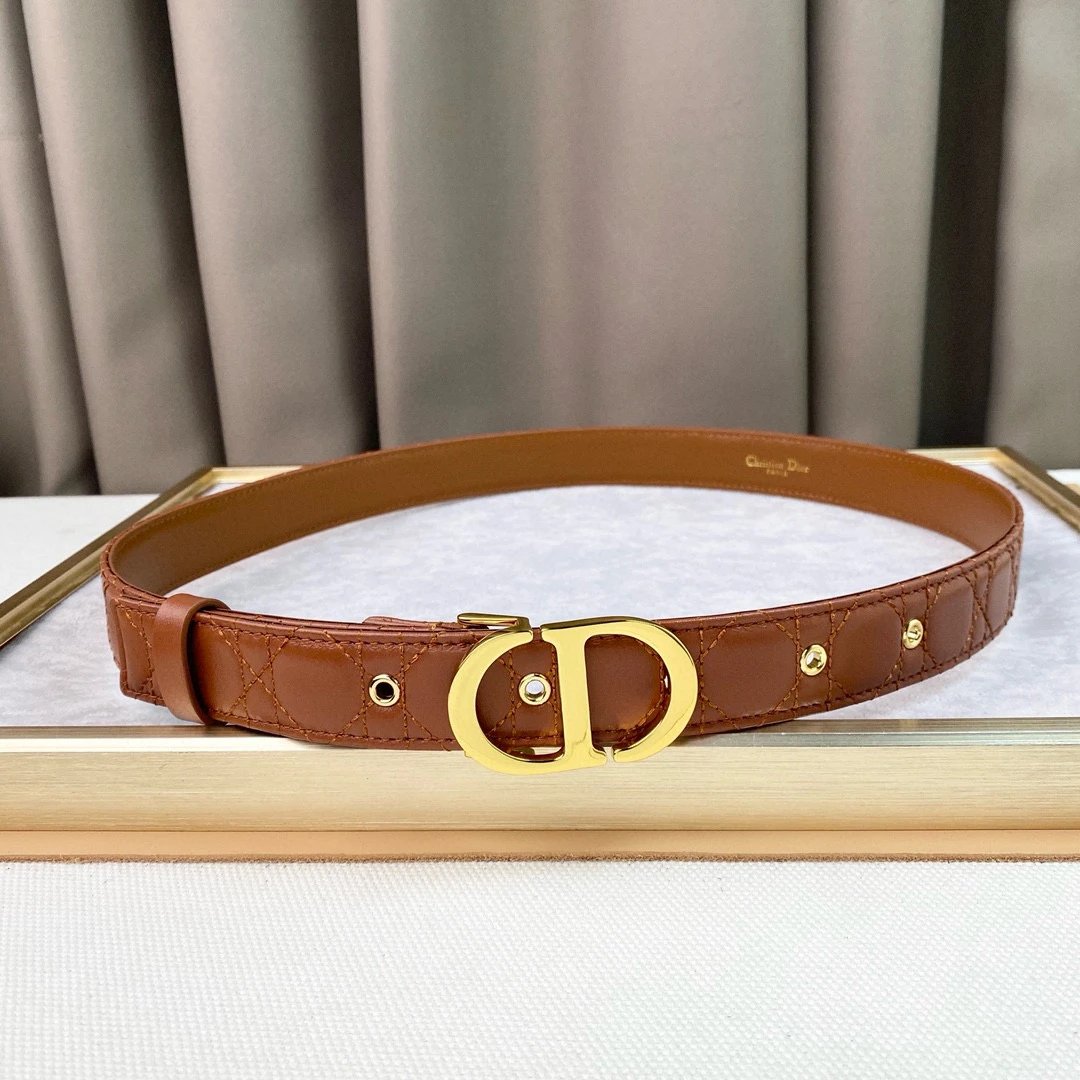 Dior CD Buckle Belt [8 styles]
