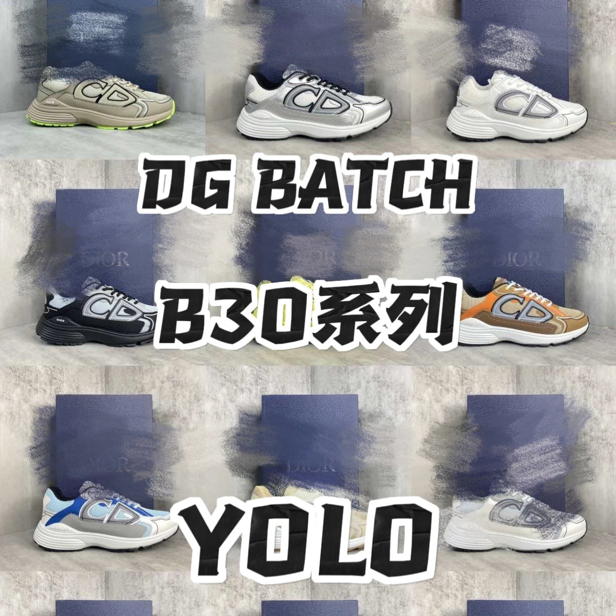 Dior Sneakers B30