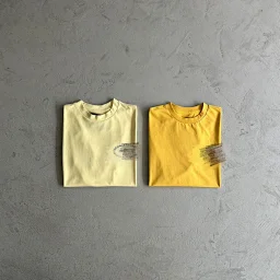 thumbnail for Evil-J heavyweight T-shirt