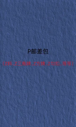 thumbnail for P邮差包（Z料、Z三角牌、Z方牌、Z勾扣…等）