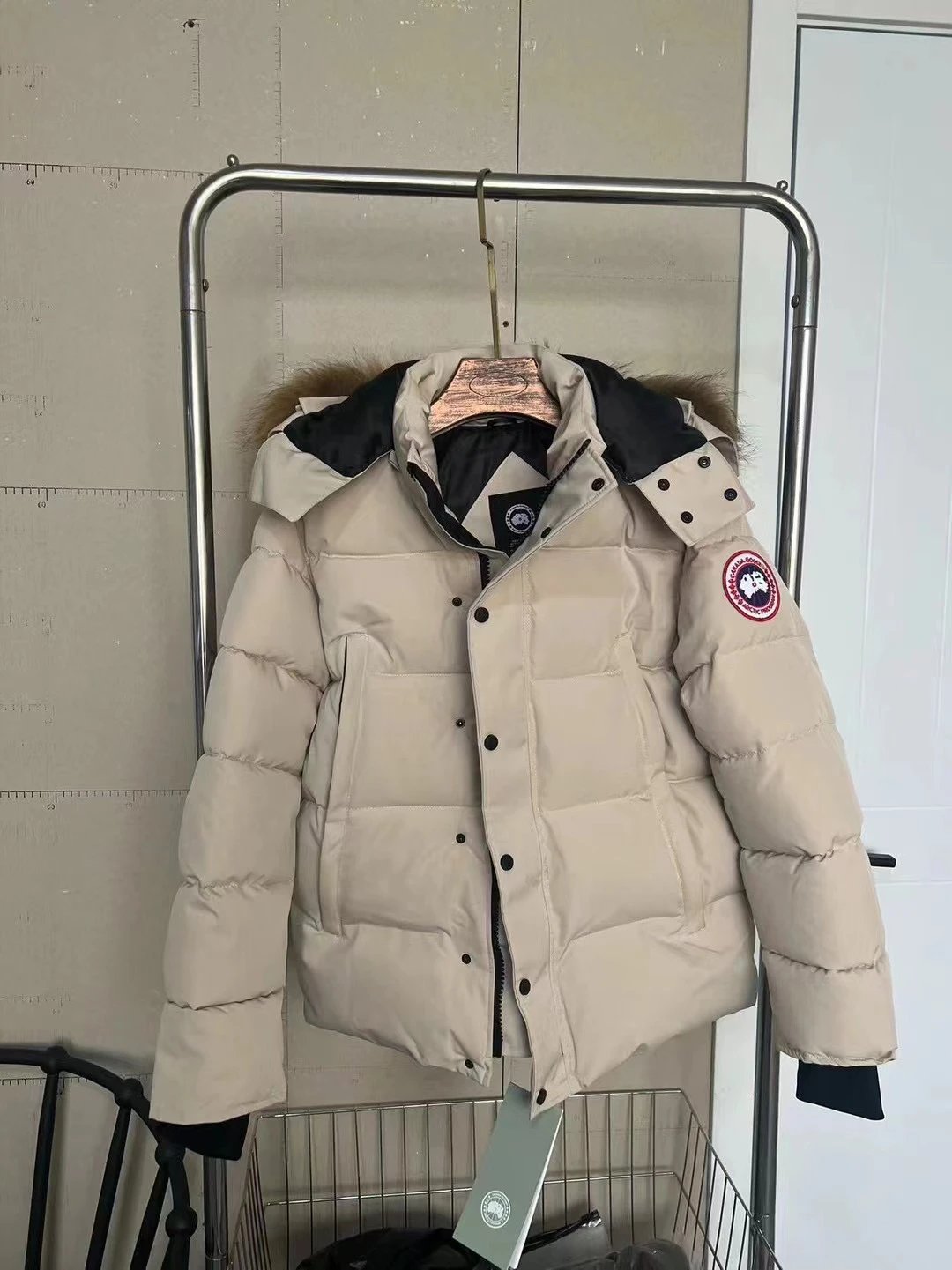 canad* goose goose down jacket