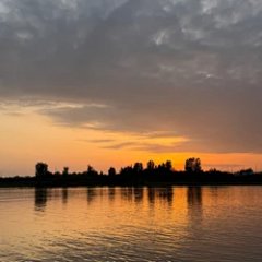 东东