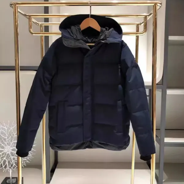 Moncler Genius Down Jacket Navy Blue - 1