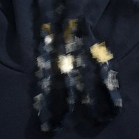 Louis Vuitton Hoodie — seller photo 2
