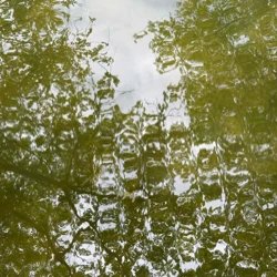 Green Ripple