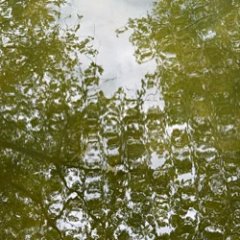 Green Ripple
