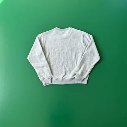 thumbnail for DS tram embroidered crewneck sweatshirt