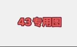 thumbnail for Top 3066-43L shorts