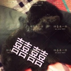四喜来一件