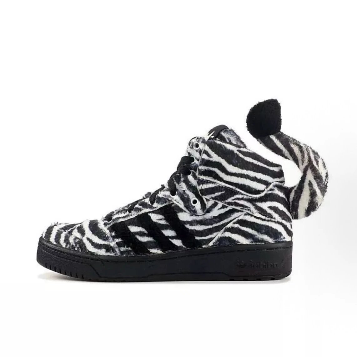 Zebra striped tail