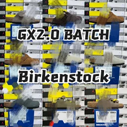 thumbnail for [GX 2.0 Version] Birken  LINK1