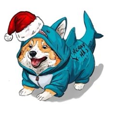 Shark Breeder(New store)