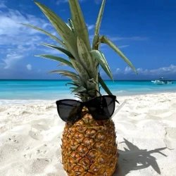 Pineapple GO