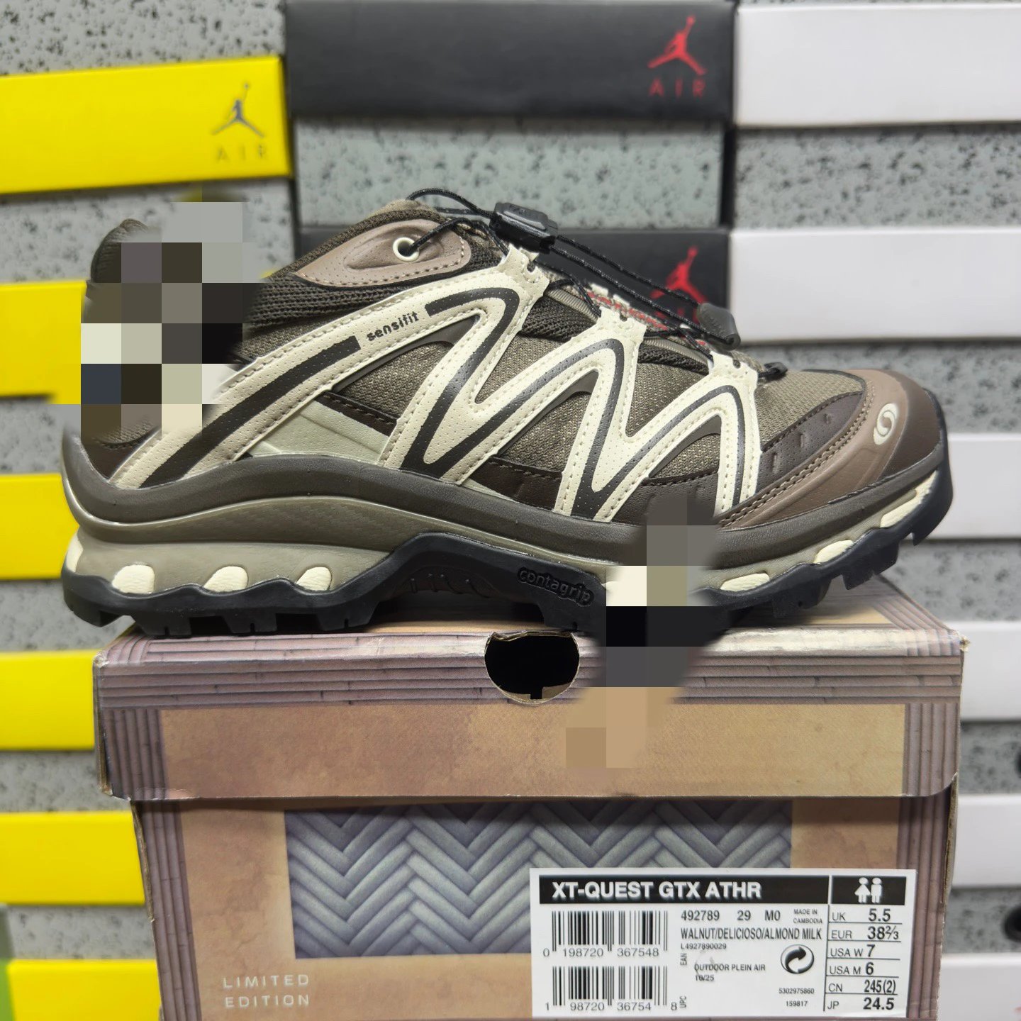 Grey brown 492789