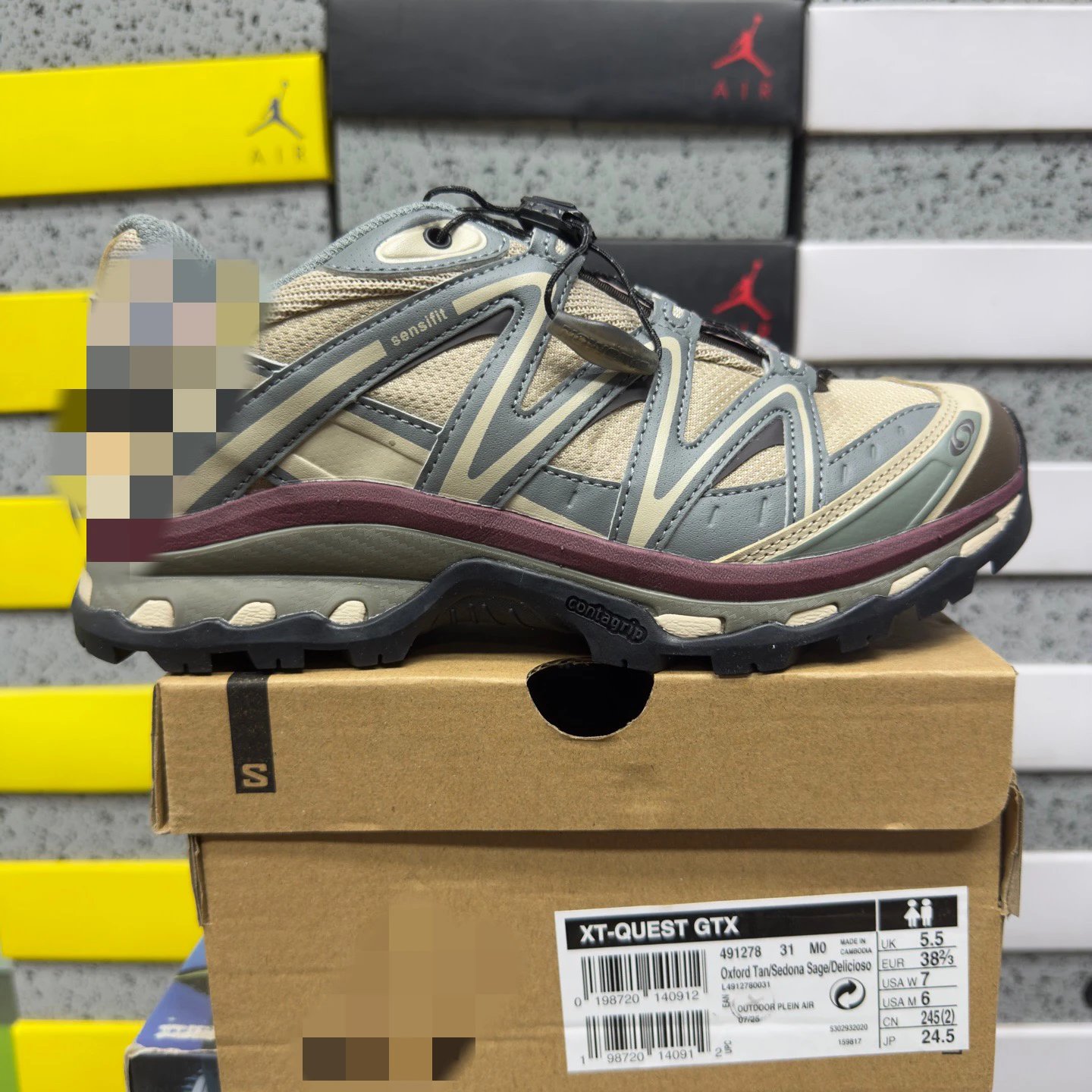 Grey brown 491278