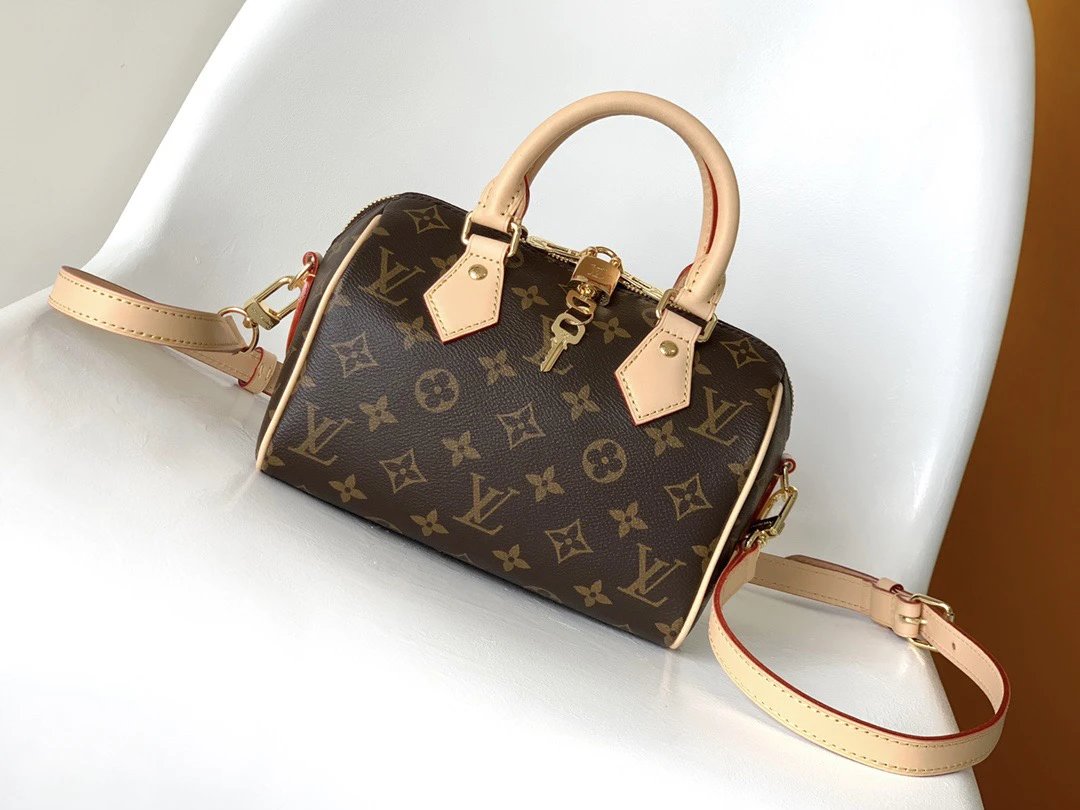 LV Bag