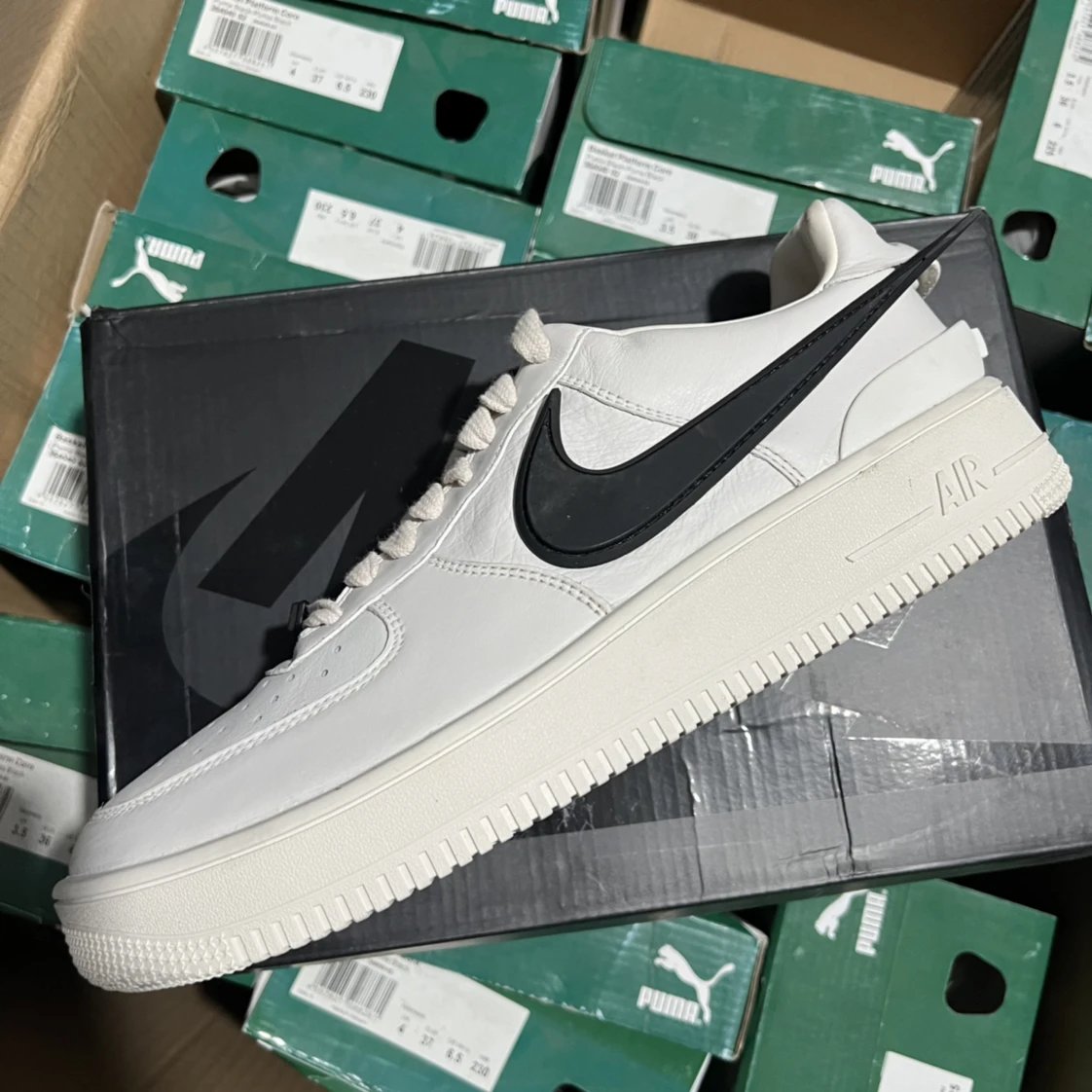 Ambush White Low