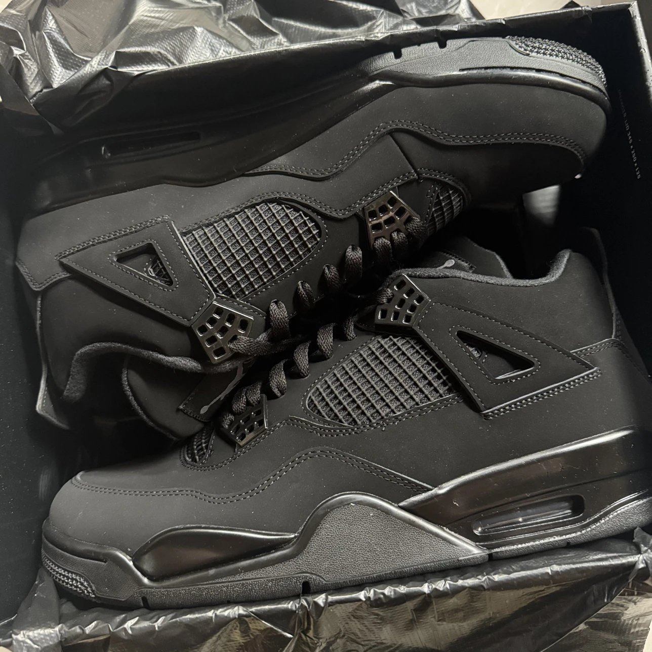 Air Jordan 4 Black Cat