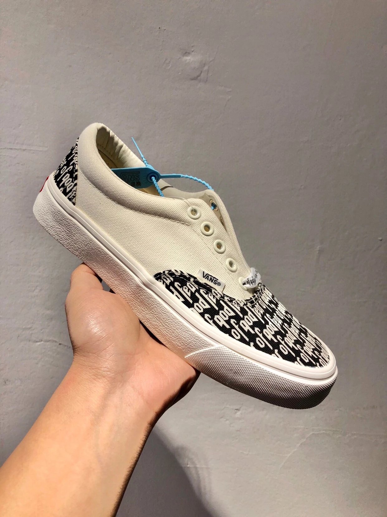 Vans FOG Canvas Low