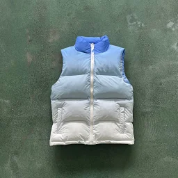 thumbnail for T-gradient vest