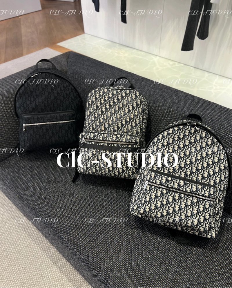 Louis Vuitton CD Dio Rider Travel
