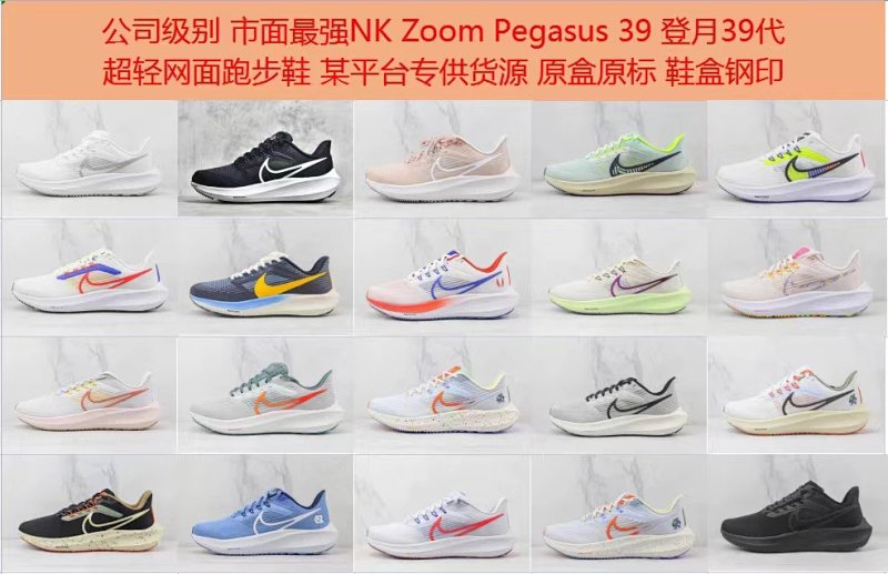 Air Zo M Peg Sus 39