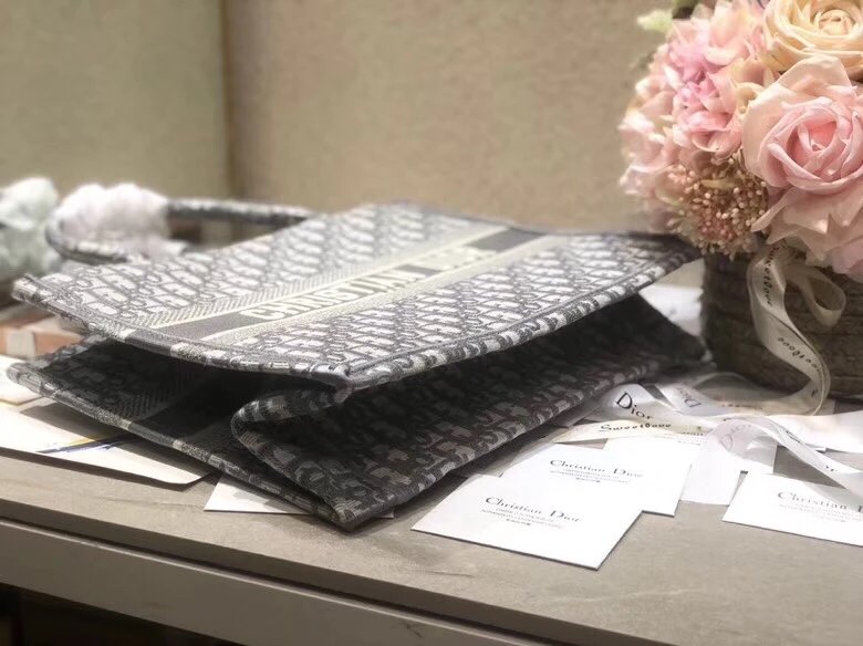 新款mini book tote迷你浅灰色刺绣老花购物袋字母标志性的oblique女手提包帆布包大号托特包 14