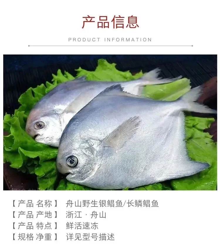 Z仓野生银鲳鱼,全仓三件江浙沪皖包邮】舟山野生银鲳鱼,平鱼大鲳鱼